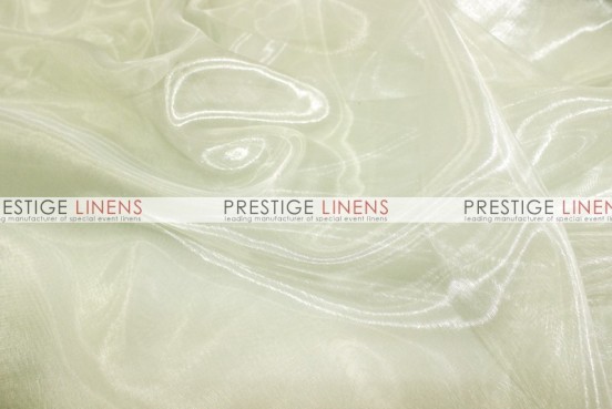 Mirror Organza Draping - 128 Ivory