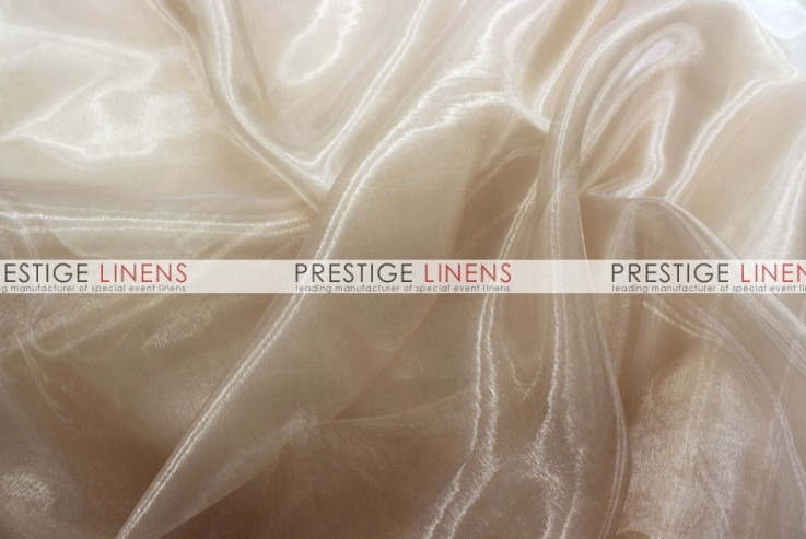 Mirror Organza Draping - 130 Champagne