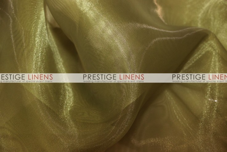 Mirror Organza Draping - 831 N Olive