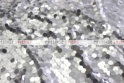 Payette Sequins (Dull) Draping - Silver (Dull)